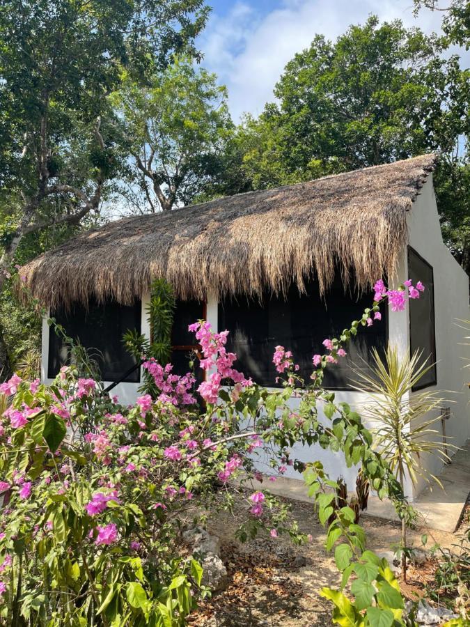 Maya Eco Village Akumal Eksteriør bilde